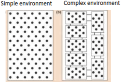 <ul><li><p><span style="background-color: transparent;"><strong>Spatial refuges: </strong>A physical place where a species can escape predators or competitors</span></p><ul><li><p><span style="background-color: transparent;">Allow rare species to recover; enable prey to ‘bounce back’ from rarity &amp; increase their population size</span></p></li></ul></li><li><p><span style="background-color: transparent;">Carl Huffaker’s Mite Experiment:</span></p><ul><li><p><span style="background-color: transparent;">Predatory mites &amp; prey mites lived on oranges</span></p><ul><li><p><span style="background-color: transparent;"><strong>Simple environment</strong>:</span></p><ul><li><p><span style="background-color: transparent;">Few oranges</span></p></li><li><p><span style="background-color: transparent;">No hiding places</span></p></li><li><p><span style="background-color: transparent;">Predator kills prey → predator later goes extinct</span></p></li></ul></li><li><p><span style="background-color: transparent;"><strong>Complex environment</strong>:</span></p><ul><li><p><span style="background-color: transparent;">Many oranges</span></p></li><li><p><span style="background-color: transparent;">Prey can disperse &amp; escape</span></p></li><li><p><span style="background-color: transparent;">Both predator &amp; prey coexist</span></p></li></ul></li></ul></li></ul></li></ul><p></p>