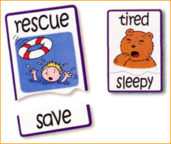<p>Words with similar meanings.</p>