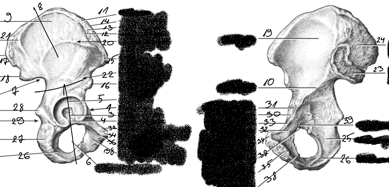 <p>19</p>