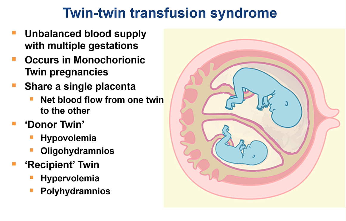 ↓ Blood volume → hypovolemia + oligohydramnios<br>May appear "stuck" because the amniotic sac contains very little fluid