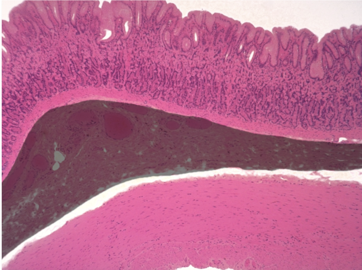 <p>what is this structure?</p>