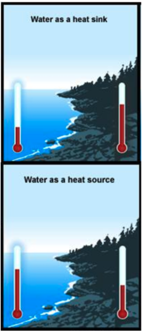 <ul><li><p>water has a high heat capacity, as it can store large amounts of energy without getting too hot (good heat sinks)</p></li><li><p>water transfers energy by convection, which is why coastal regions are warmer in winter and colder in summer</p></li></ul><p></p>