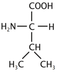 <p>non-polar, aliphatic</p>