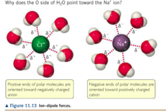 <p>The force that exists between an ion and a polar molecule that possesses a permanent dipole moment.</p>