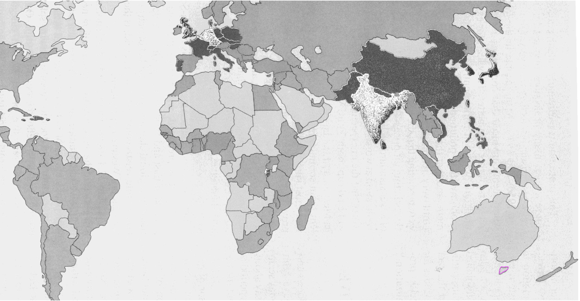 term image