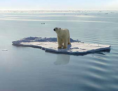 <p>Increase in the Earth's average surface temperature</p>
