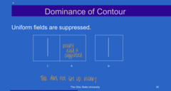 <p>True or False: </p><p>Uniform fields will be suppressed</p>