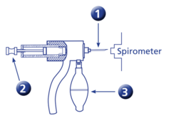<p>2 is:</p>