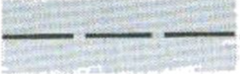 <p>Pigmented line broken at regular intervals</p>