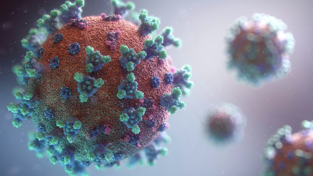 <p>Viruses</p>