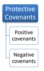 <p>Rules restricting actions of borrowing company</p>