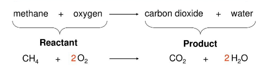 <p>Substances entering the reaction.</p>