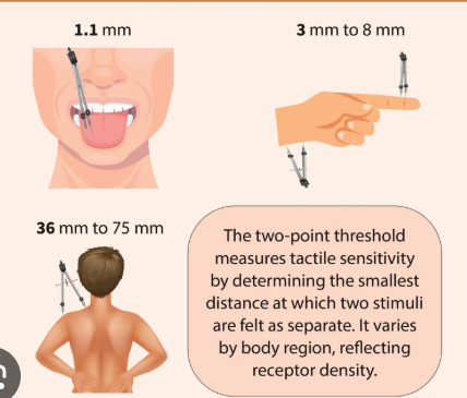 <p>assesses the sensitivity of different skin areas by asking subjects if they feel two objects or one, on different areas of the skin </p>