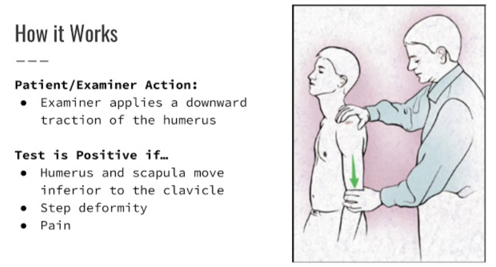 <p><strong>AC joint injury</strong></p><p>patient seated</p><p>close hand palpates the AC joint</p><p>other hand pull down on arm grabbing right above elbow</p><p>positive if: downward movement of scapula and humerus this causes a step deformity at the AC joint</p>