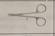 <p>cuts the specimen</p>