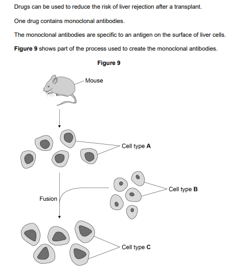 <p>2025: How is the mouse stimulated to produce cell type A?</p>