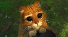 <p>Excuse me; I'm sorry</p>