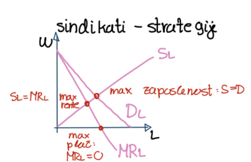 <p>So monopol na trgu dela, pomeni, da so edini ponudniki delavcev. Imajo tri možne strategije:</p><p>1) maksimiziranje zaposlenosti: D = S</p><p>2) maksimiziranje plač: MR<sub>L</sub> = 0</p><p>3) maksimiziranje ekonomske rente: MR<sub>L</sub> = S<sub>L</sub></p>