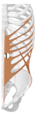 <p>Identify the structure</p>