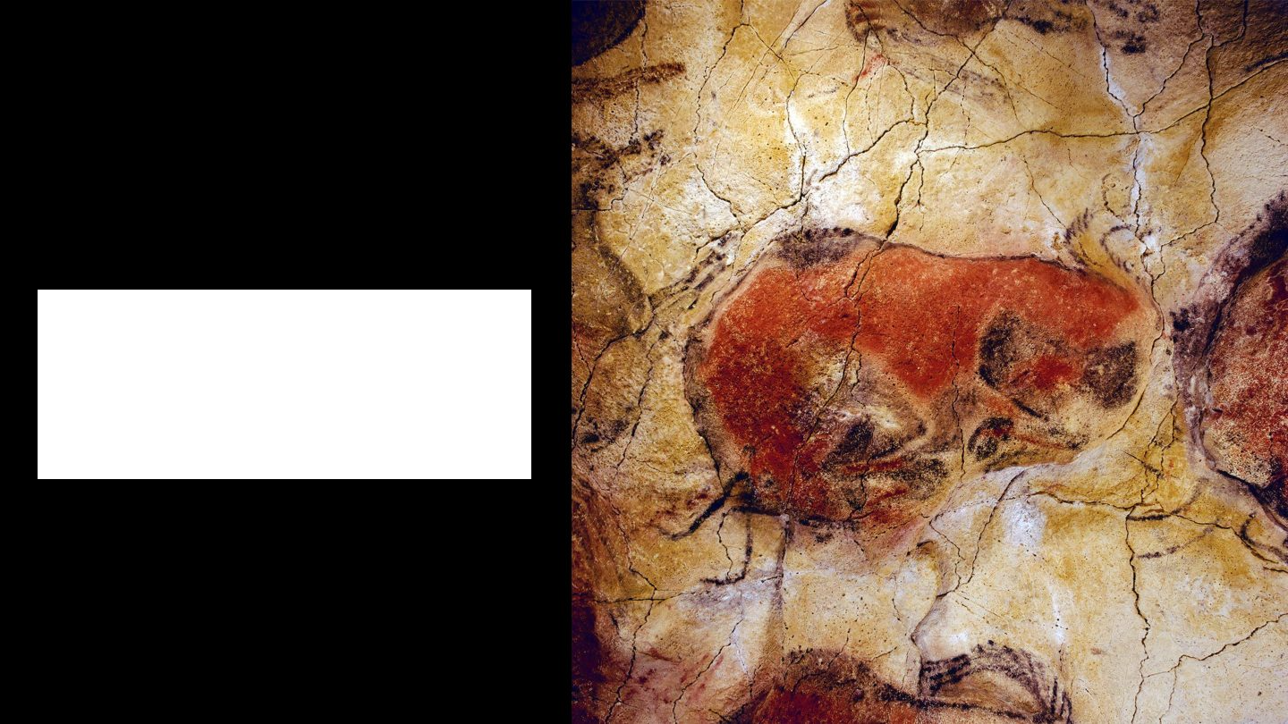 <p>Culture?</p>