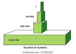 <p>what does the pyramid of numbers show</p>