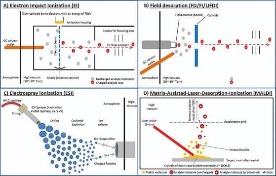 <p>What are the two types of ionization used in a mass spectrometer and how do they differ?</p>