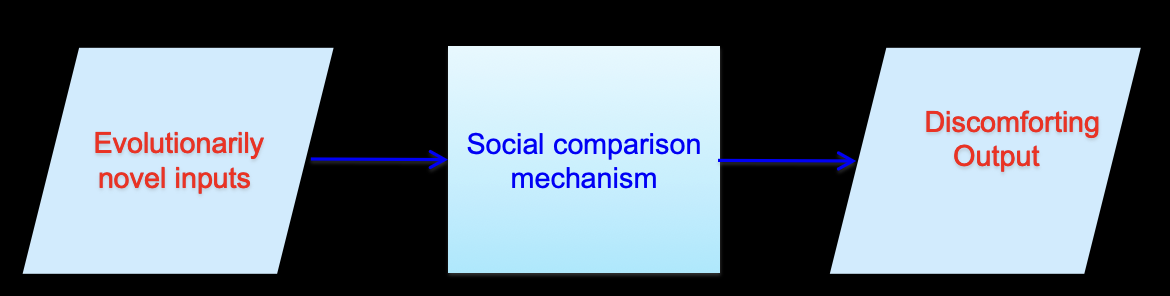 <p>What is the evolutionary novel/mismatch model?</p>