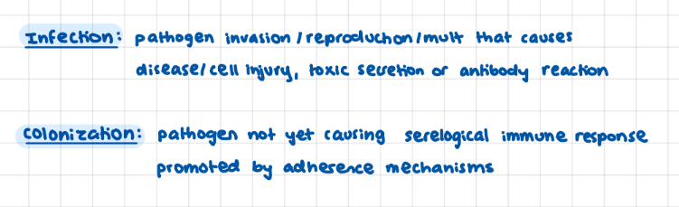 <p>colinization promoted by adherense mechanisms</p>