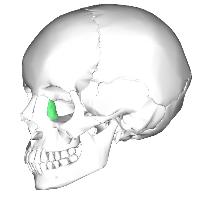 term image