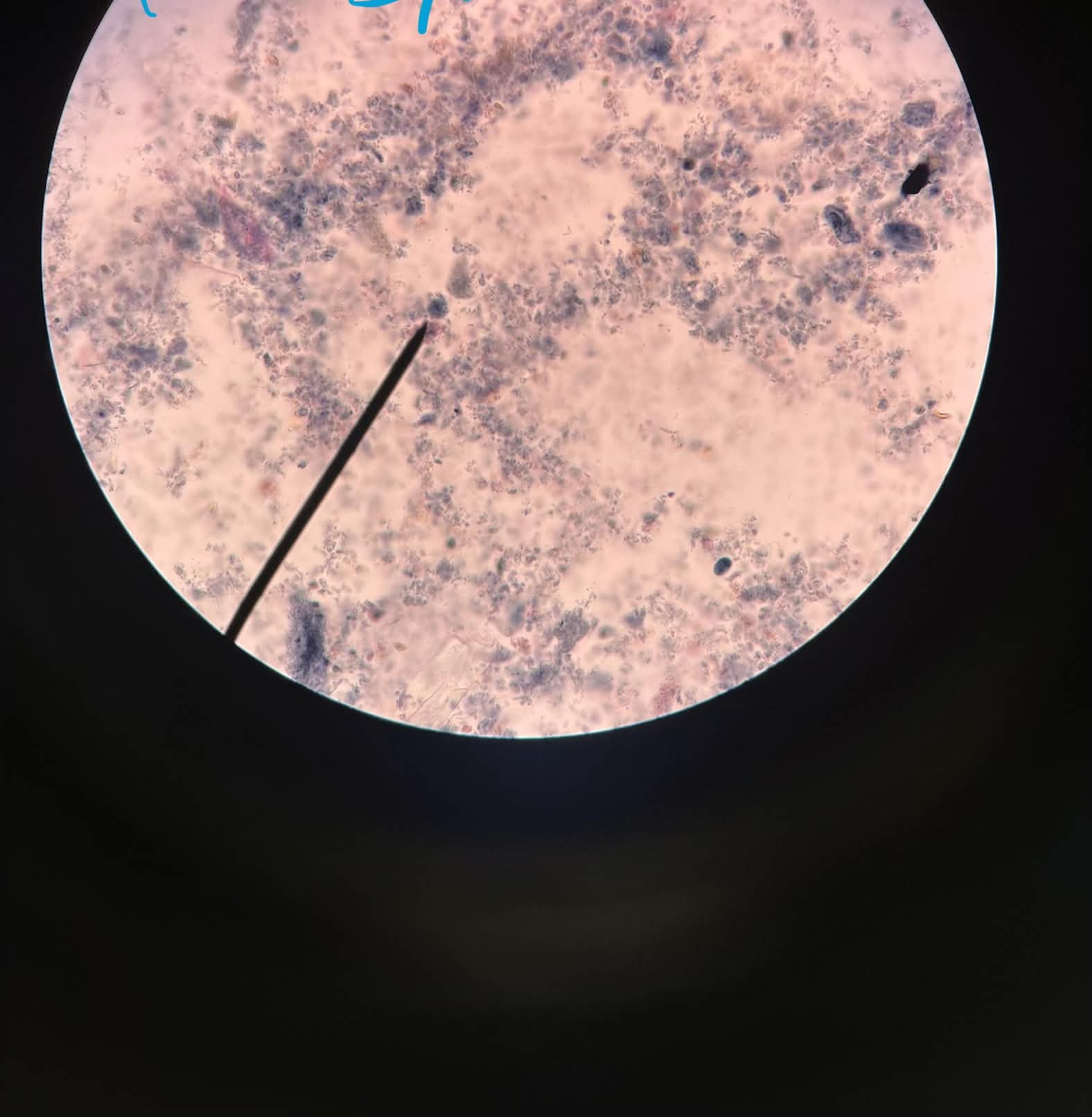 <p>What is this?</p>