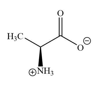 <p>a zwitterion</p>