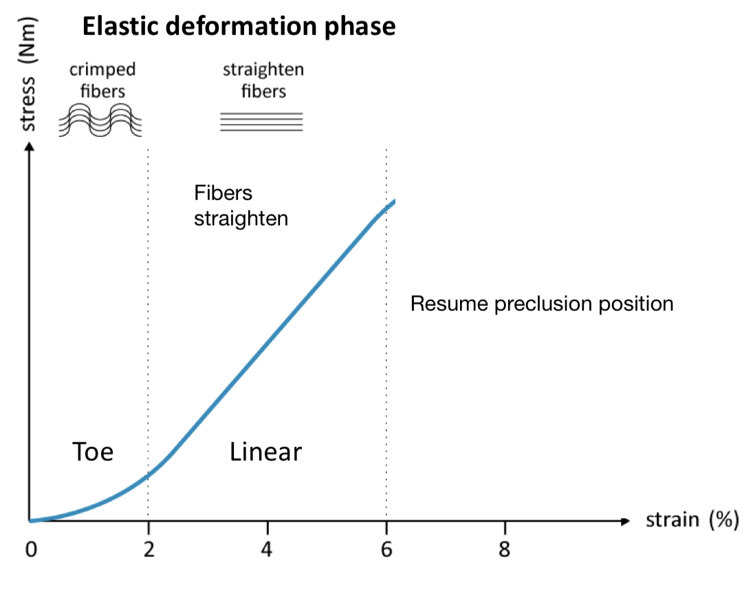 <ul><li><p>Rate</p></li><li><p>Time: force over time</p></li></ul><ul><li><p>Want to break to regain movement!</p></li></ul><p>Bc its viscoelastic</p>