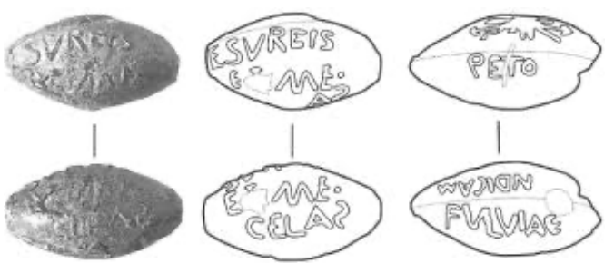 term image