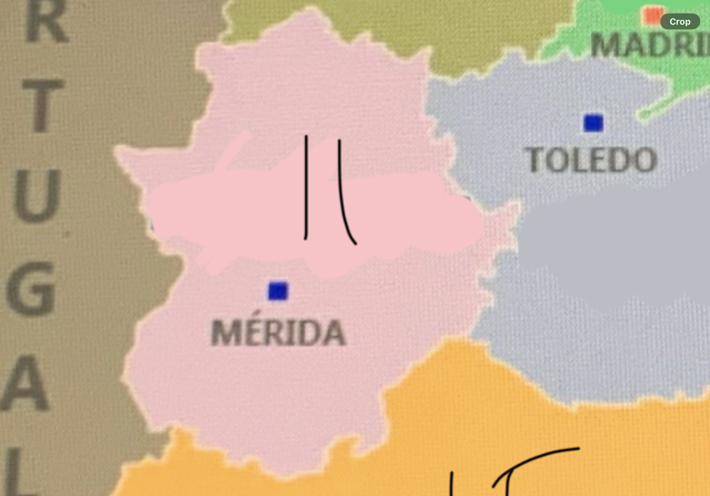 <p>11</p>