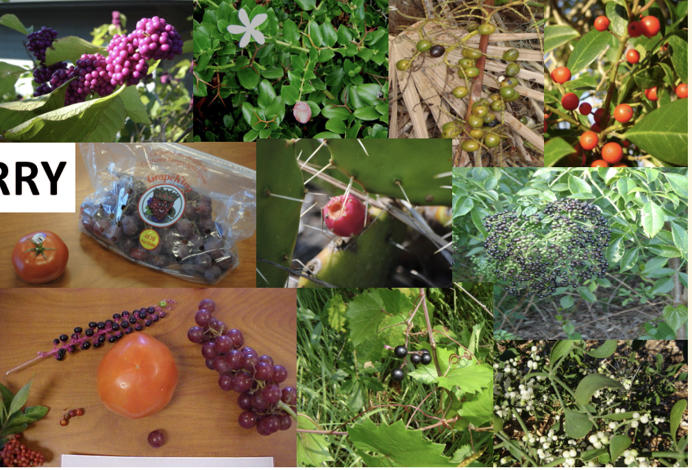 <p>What is this?</p>