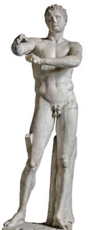 term image