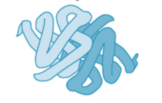 <p>quaternary protein structure</p>
