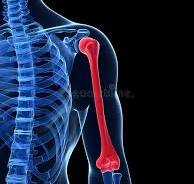 Which bone is this?