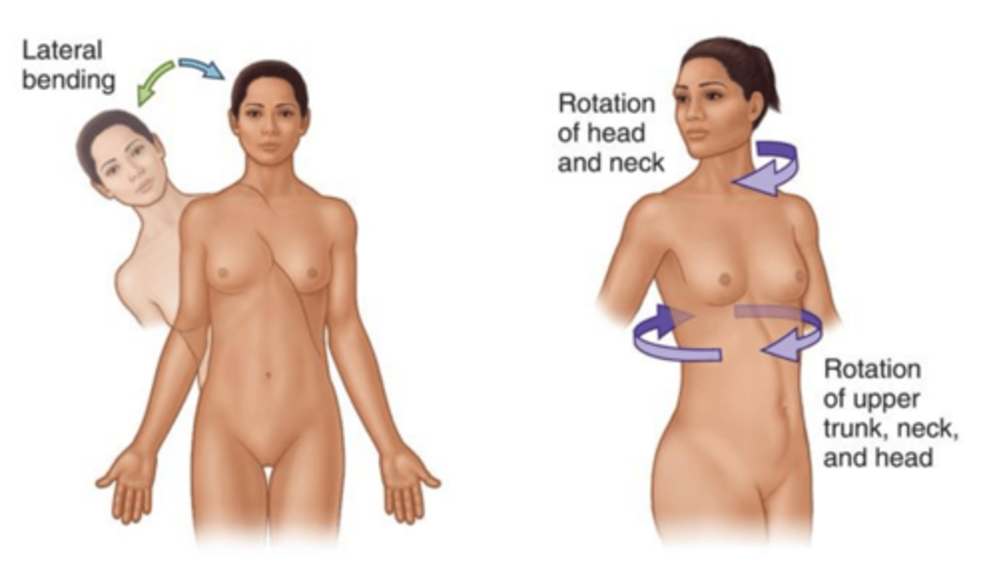 <p>when the trunk, neck or head moves sideways</p>