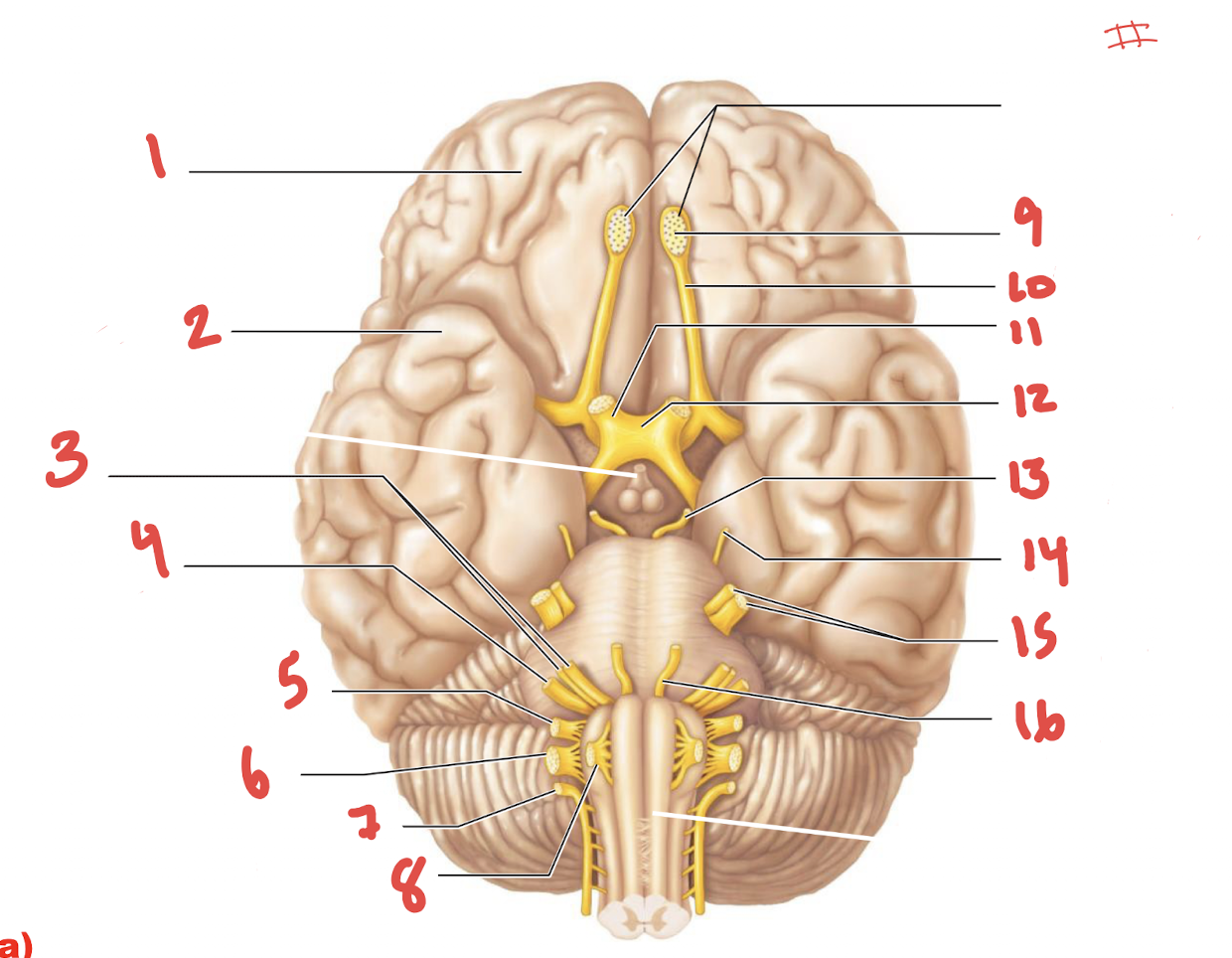 <p>What is number 9 #</p>