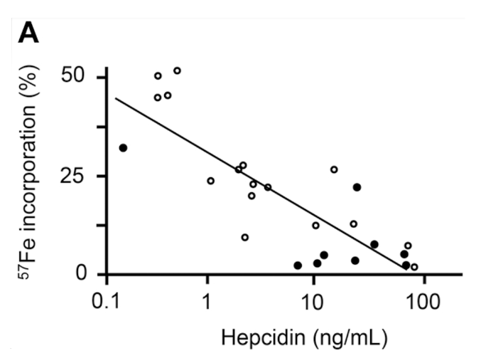 <p>Iron cannot be absorbed properly due to increased circulating hepcidin<em> (inhibition of brush border cell ferroportin).</em></p>