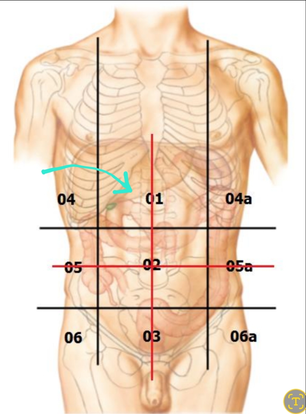 <p>Qual é o nome?</p>