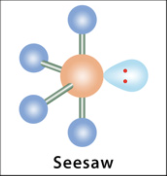 <p>Seesaw</p>