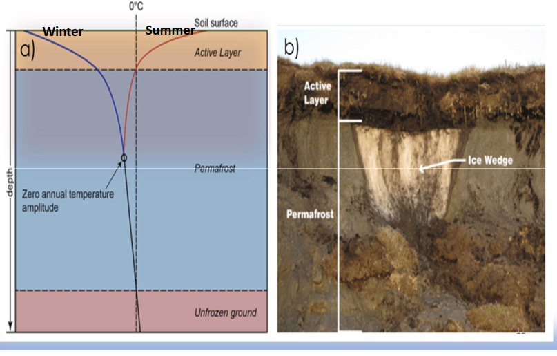 <p>look closely at diagrams</p>