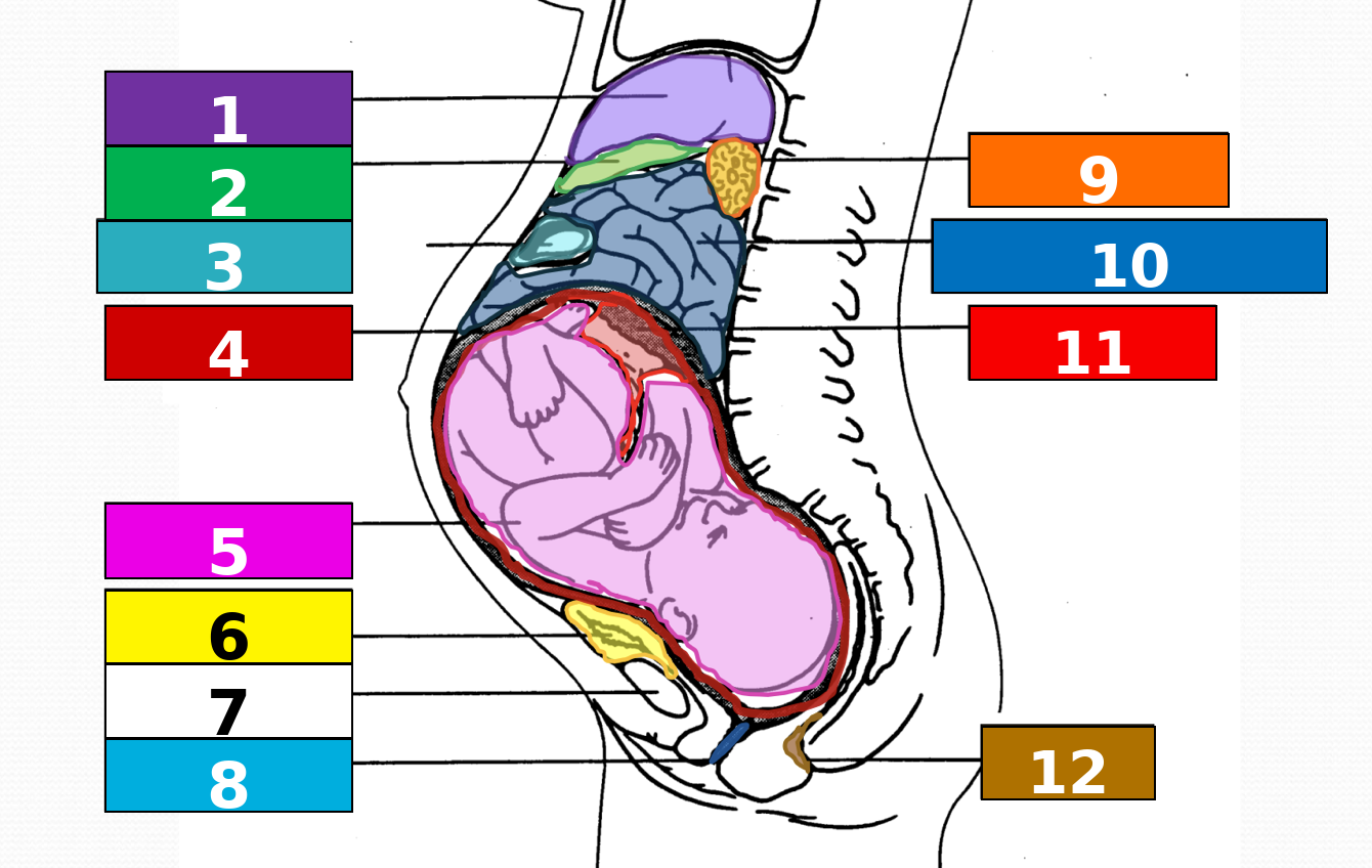 <p>2</p>