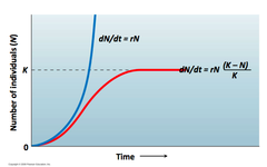 <p>d. Food or water limitations</p><p>Under ideal conditions, population growth can follow an exponential model. However, under less-than-ideal conditions, population growth will be limited by the amount of resources. The lack of food and water resources will cause the deer to reach the carrying capacity.</p>