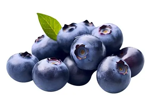 <p>Container of Blueberries</p>