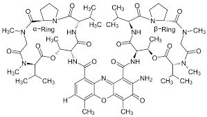 <p>dactinomycine (actinomycine D)</p>