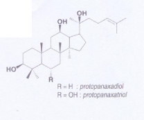 <ul><li><p>30 C</p></li><li><p>no nucleo esteroídico o primeiro composto possui 2 OH já o segundo 3OH (maneira de os distinguir) </p></li></ul><p></p>
