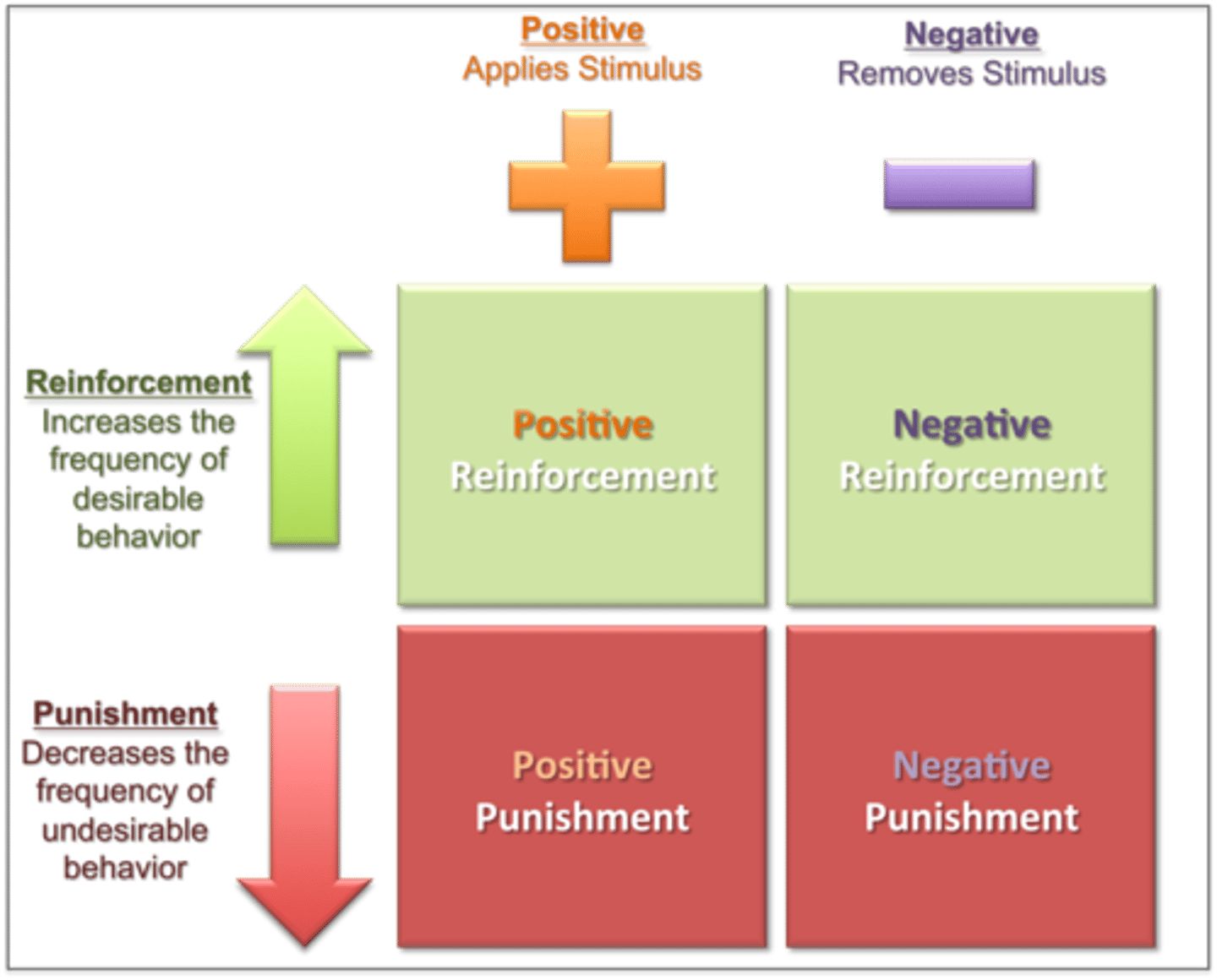 <p>- Something pleasant is given to increase a behavior.</p><p>- behavior is strengthened, increasing the likelihood that the behavior will be repeated</p><p>Key points:</p><p>- increases the chance of a behavior happening again.</p><p>- It can be positive (adding something pleasant) or negative (removing something unpleasant).</p>